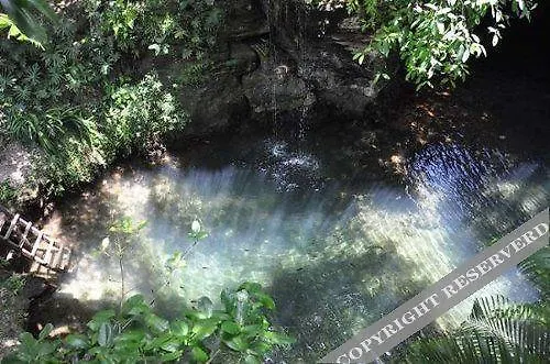 H2O By Vimex Hotell Playa del Carmen